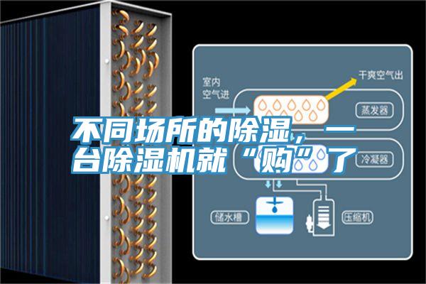 不同場所的除濕,一臺除濕機(jī)就“購”了