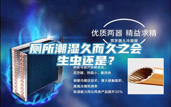 廁所潮濕久而久之會生蟲還是?