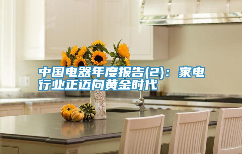 中國(guó)電器年度報(bào)告(2):家電行業(yè)正邁向黃金時(shí)代