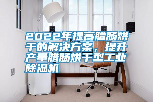2022年提高臘腸烘干的解決方案,提升產(chǎn)量臘腸烘干型工業(yè)除濕機(jī)