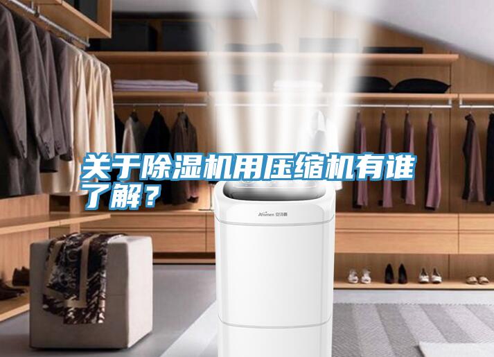 關于除濕機用壓縮機有誰了解?