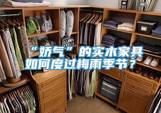 “嬌氣”的實(shí)木家具如何度過(guò)梅雨季節(jié)?