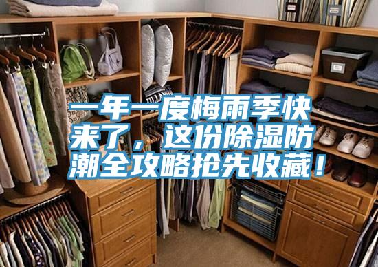 一年一度梅雨季快來了，這份除濕防潮全攻略搶先收藏！