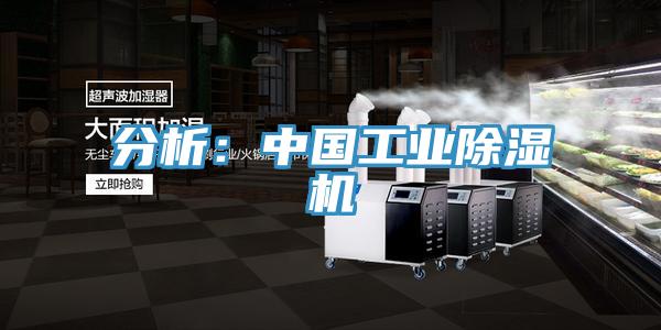 分析:中國工業(yè)除濕機
