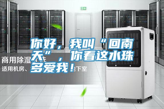你好，我叫“回南天”，你看這水珠多愛我！