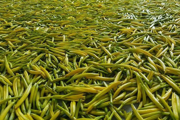 無硫金針菜烘干如何保持品相?不發黑?_除濕機廠家