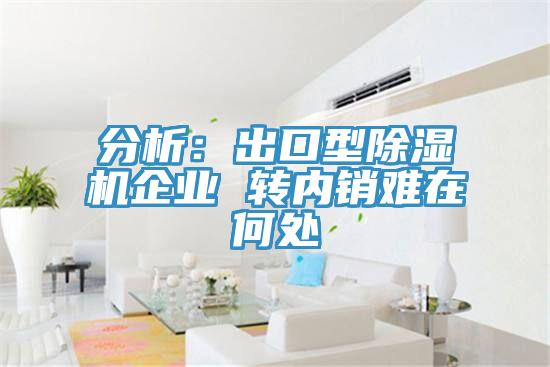 分析:出口型除濕機企業(yè) 轉內銷難在何處