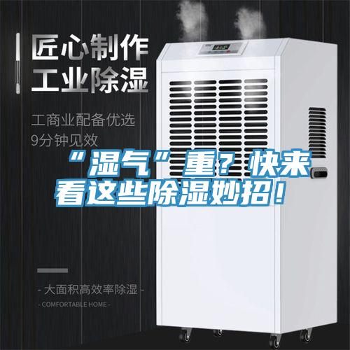 “濕氣”重?快來(lái)看這些除濕妙招!