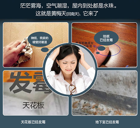 家庭別墅的地下室、衛生間、儲物室等該如何除濕？