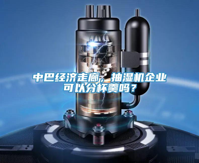 中巴經濟走廊,抽濕機企業可以分杯羹嗎?