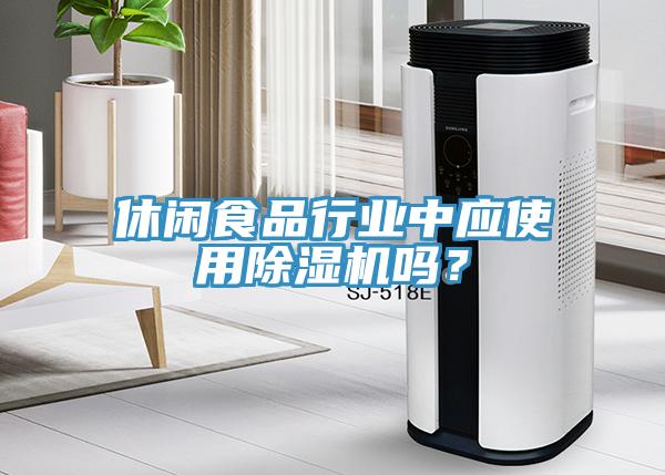 休閑食品行業(yè)中應使用除濕機嗎？