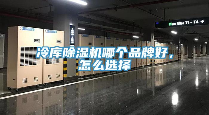 冷庫除濕機哪個品牌好，怎么選擇