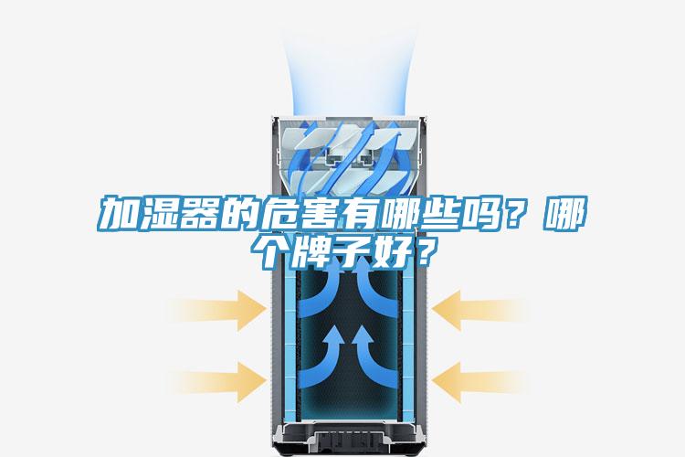 加濕器的危害有哪些嗎?哪個(gè)牌子好?