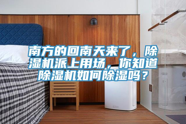 南方的回南天來了,除濕機派上用場,你知道除濕機如何除濕嗎?