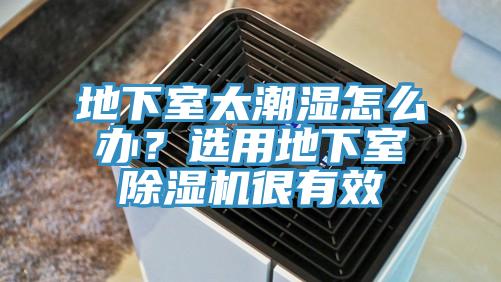 地下室太潮濕怎么辦?選用地下室除濕機很有效