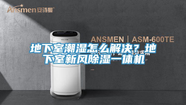 地下室潮濕怎么解決?地下室新風(fēng)除濕一體機