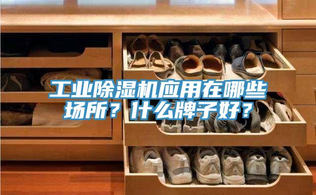 工業(yè)除濕機應(yīng)用在哪些場所?什么牌子好?