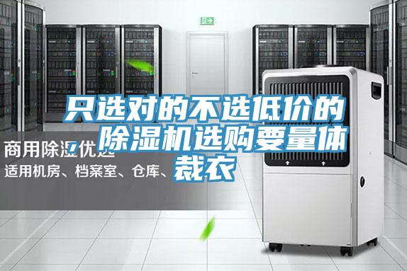 只選對的不選低價的,除濕機選購要量體裁衣