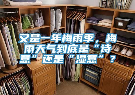 又是一年梅雨季,梅雨天氣到底是“詩(shī)意”還是“濕意”?