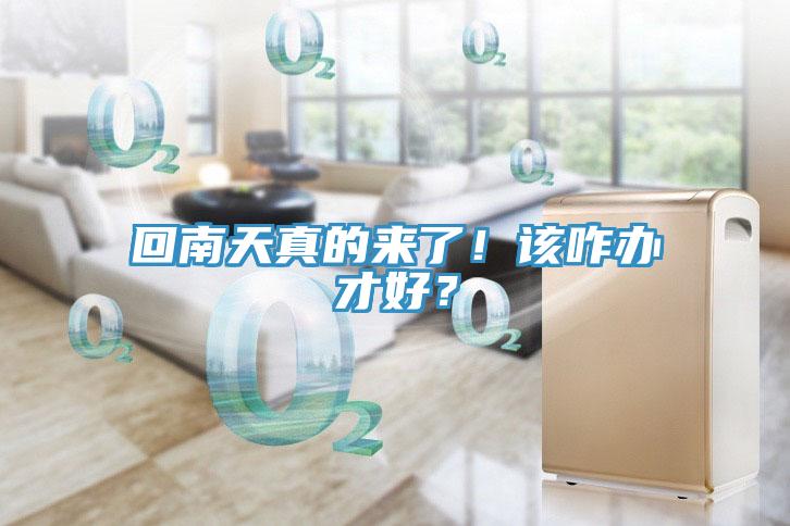 回南天真的來了!該咋辦才好?