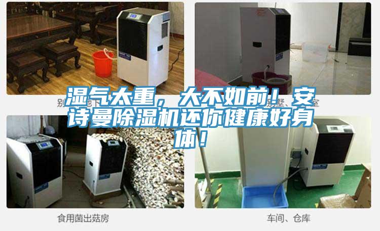 濕氣太重,大不如前!安詩曼除濕機還你健康好身體!