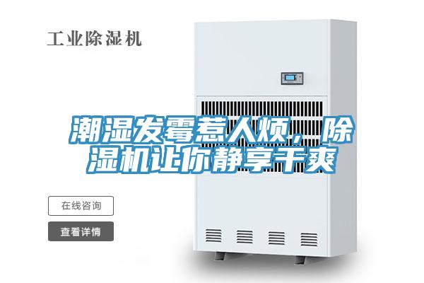 潮濕發霉惹人煩，除濕機讓你靜享干爽