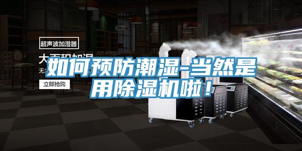 如何預防潮濕-當然是用除濕機啦!