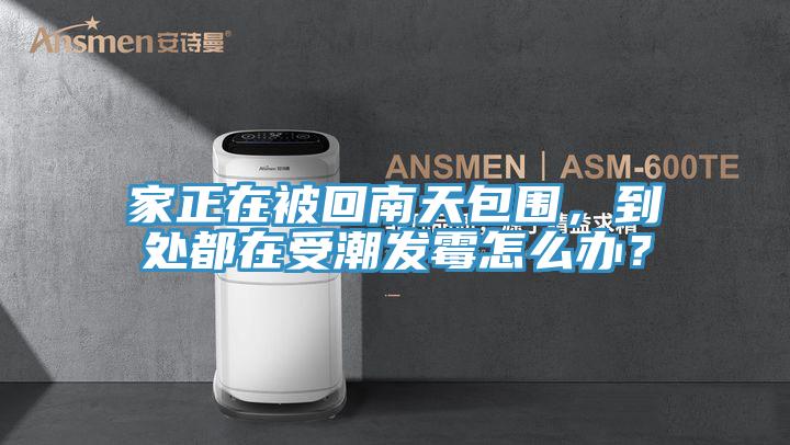 家正在被回南天包圍，到處都在受潮發霉怎么辦？