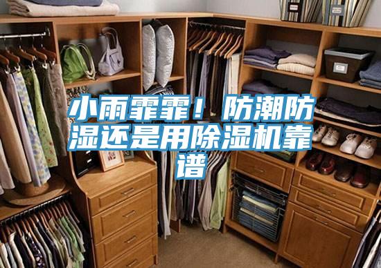 小雨霏霏!防潮防濕還是用除濕機(jī)靠譜