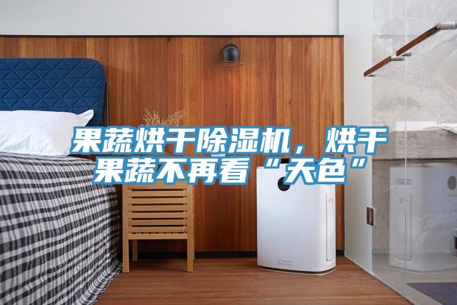 果蔬烘干除濕機，烘干果蔬不再看“天色”