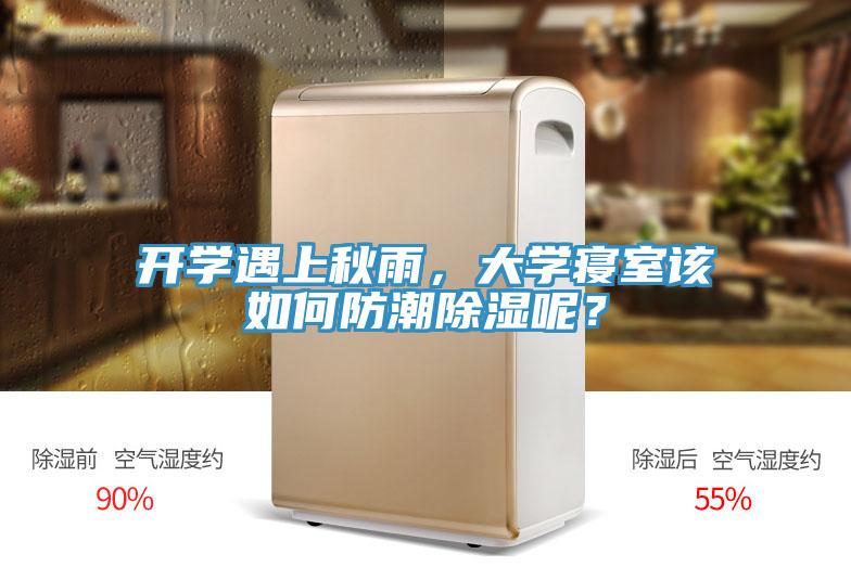 開學(xué)遇上秋雨,大學(xué)寢室該如何防潮除濕呢?