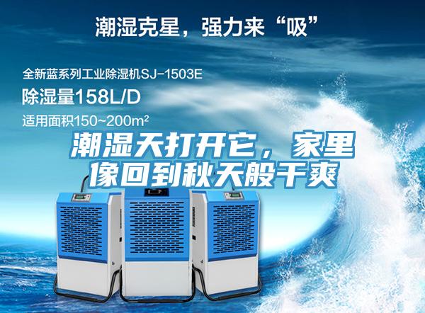 潮濕天打開它，家里像回到秋天般干爽