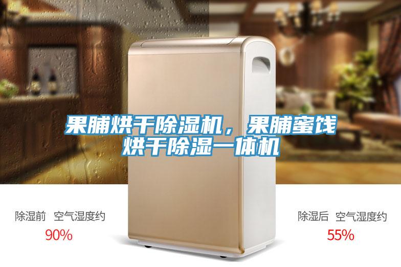 果脯烘干除濕機，果脯蜜餞烘干除濕一體機
