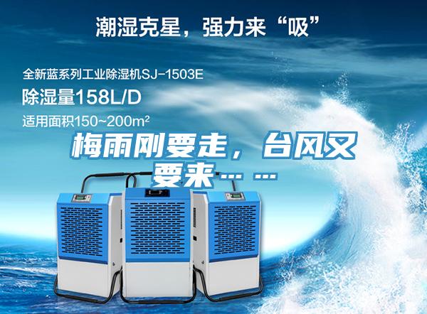 梅雨剛要走，臺風又要來……