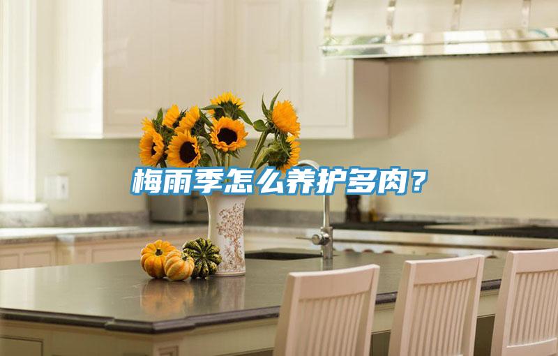 梅雨季怎么養(yǎng)護多肉?