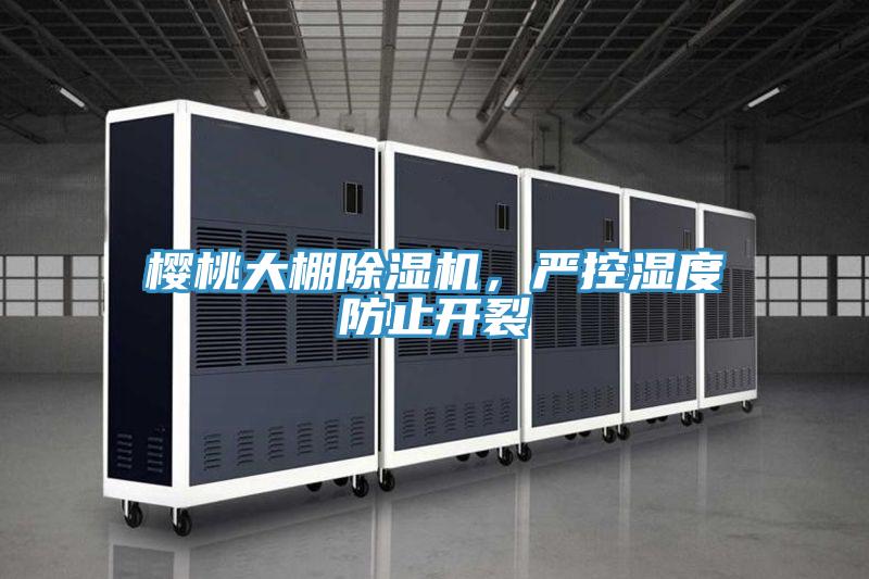 櫻桃大棚除濕機，嚴控濕度防止開裂