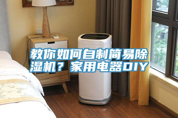 教你如何自制簡易除濕機?家用電器DIY
