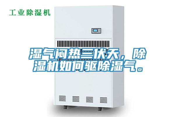 濕氣悶熱三伏天，除濕機(jī)如何驅(qū)除濕氣。