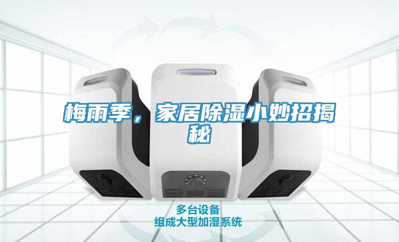 梅雨季,家居除濕小妙招揭秘