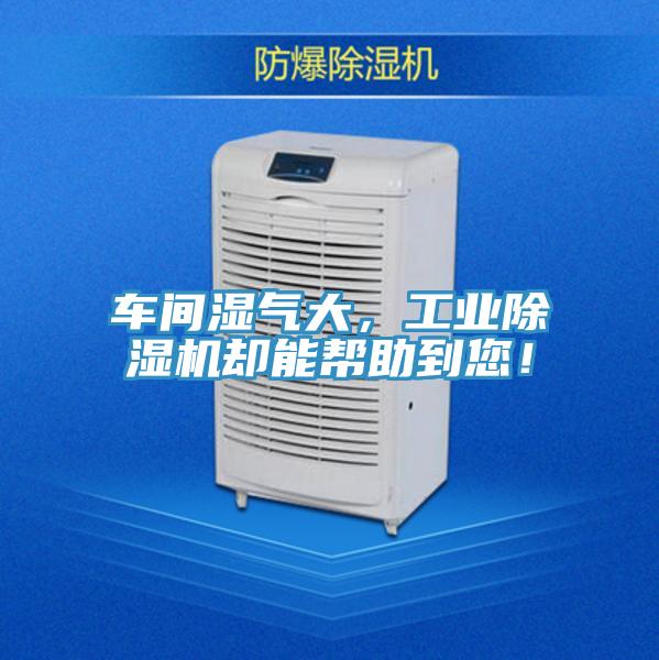 車(chē)間濕氣大，工業(yè)除濕機(jī)卻能幫助到您！