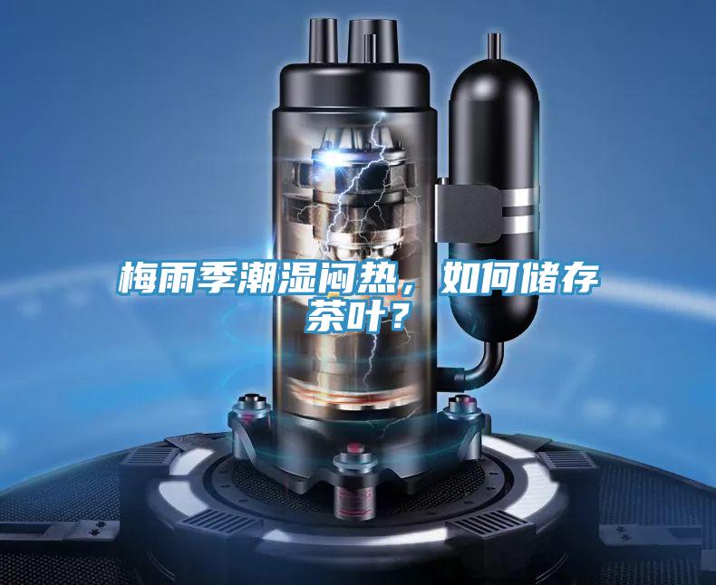 梅雨季潮濕悶熱，如何儲存茶葉？