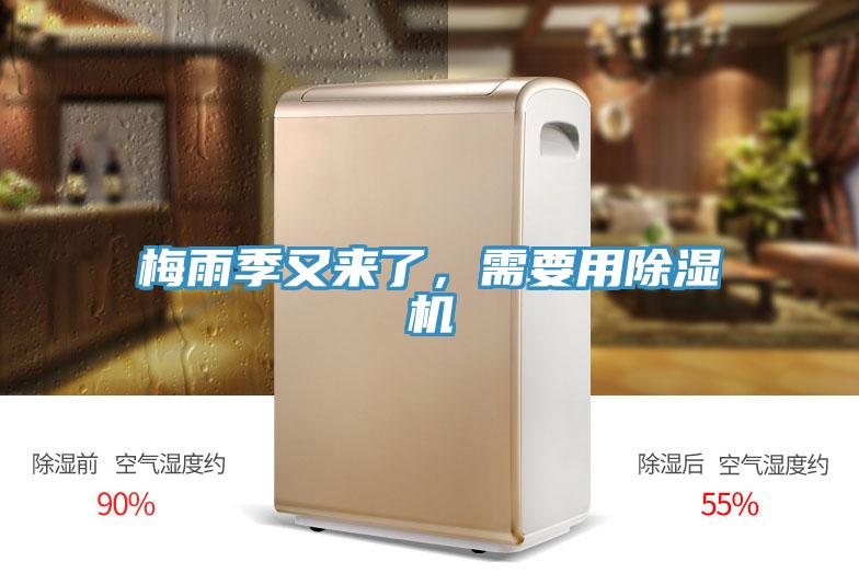 梅雨季又來了，需要用除濕機