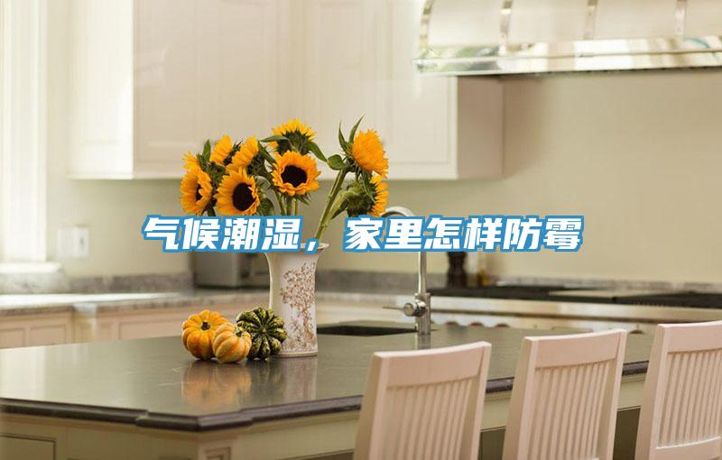 氣候潮濕，家里怎樣防霉