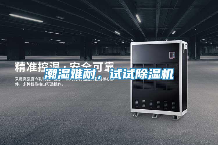 潮濕難耐，試試除濕機