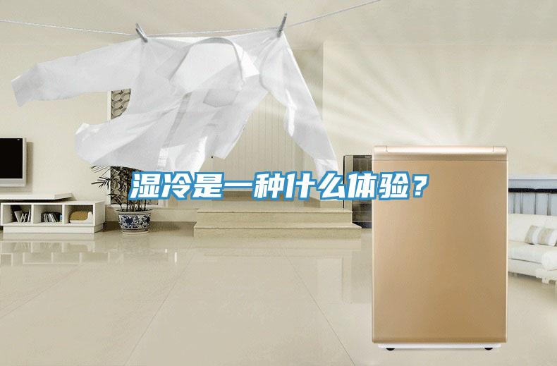 濕冷是一種什么體驗？