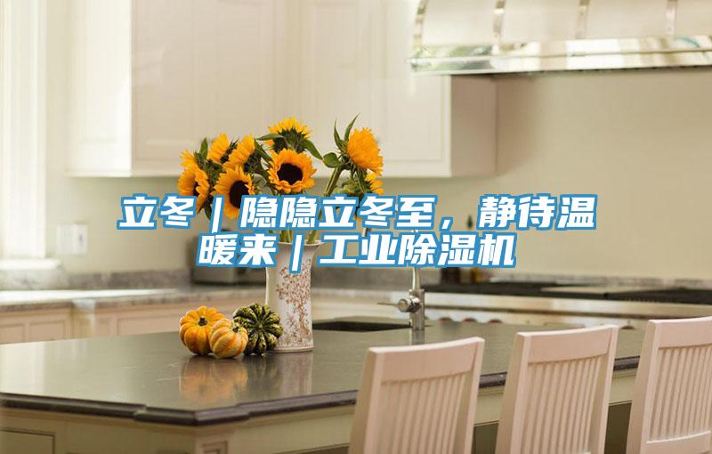 立冬|隱隱立冬至,靜待溫暖來|工業除濕機