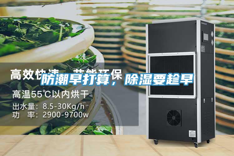 防潮早打算，除濕要趁早