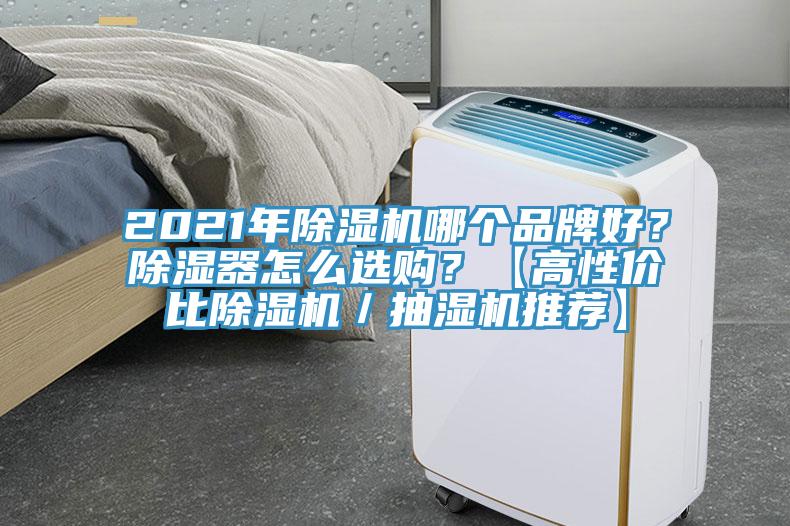 2021年除濕機哪個品牌好?除濕器怎么選購?【高性價比除濕機/抽濕機推薦】