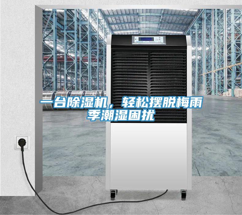 一臺除濕機(jī),輕松擺脫梅雨季潮濕困擾