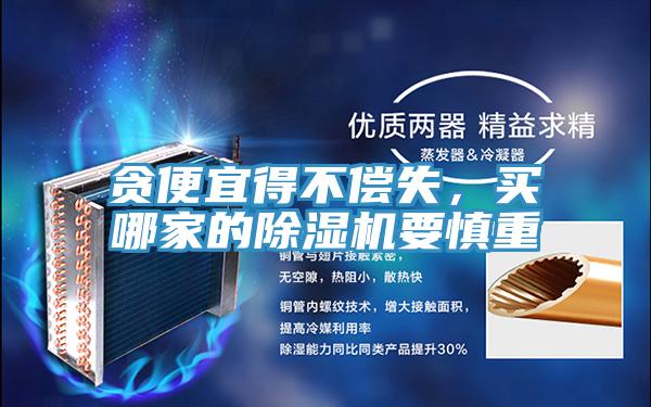 貪便宜得不償失,買哪家的除濕機要慎重